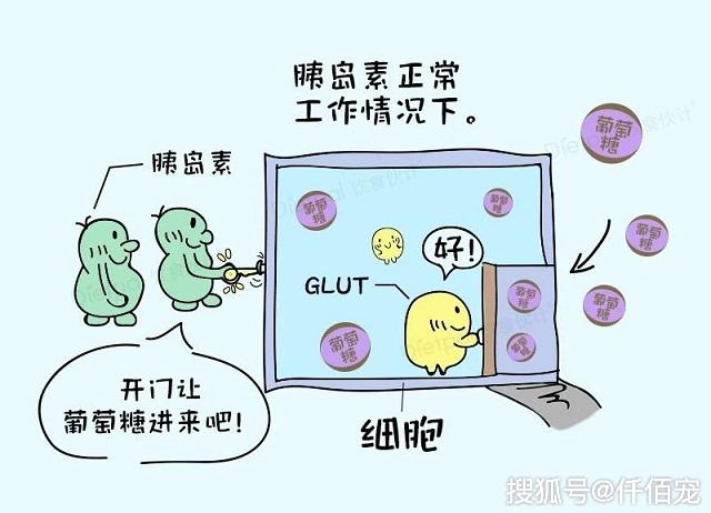 血糖升高,胰腺就开始分泌胰岛素.