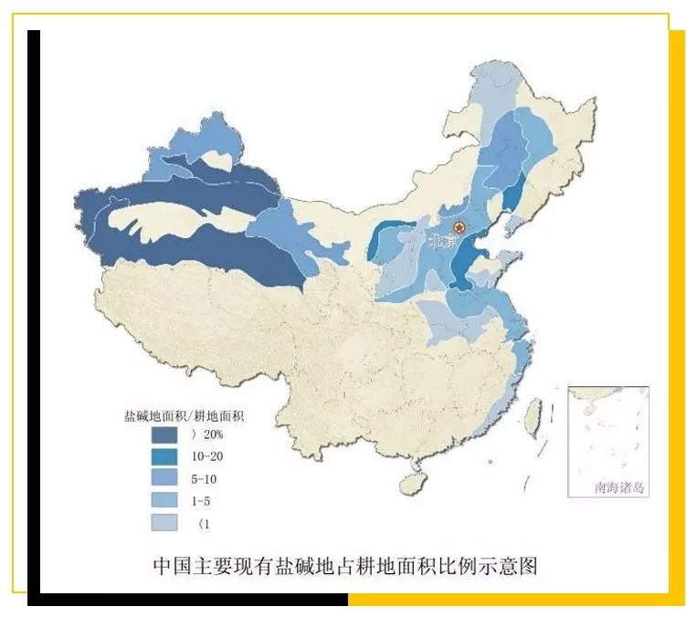 河南盐碱地分布图图片