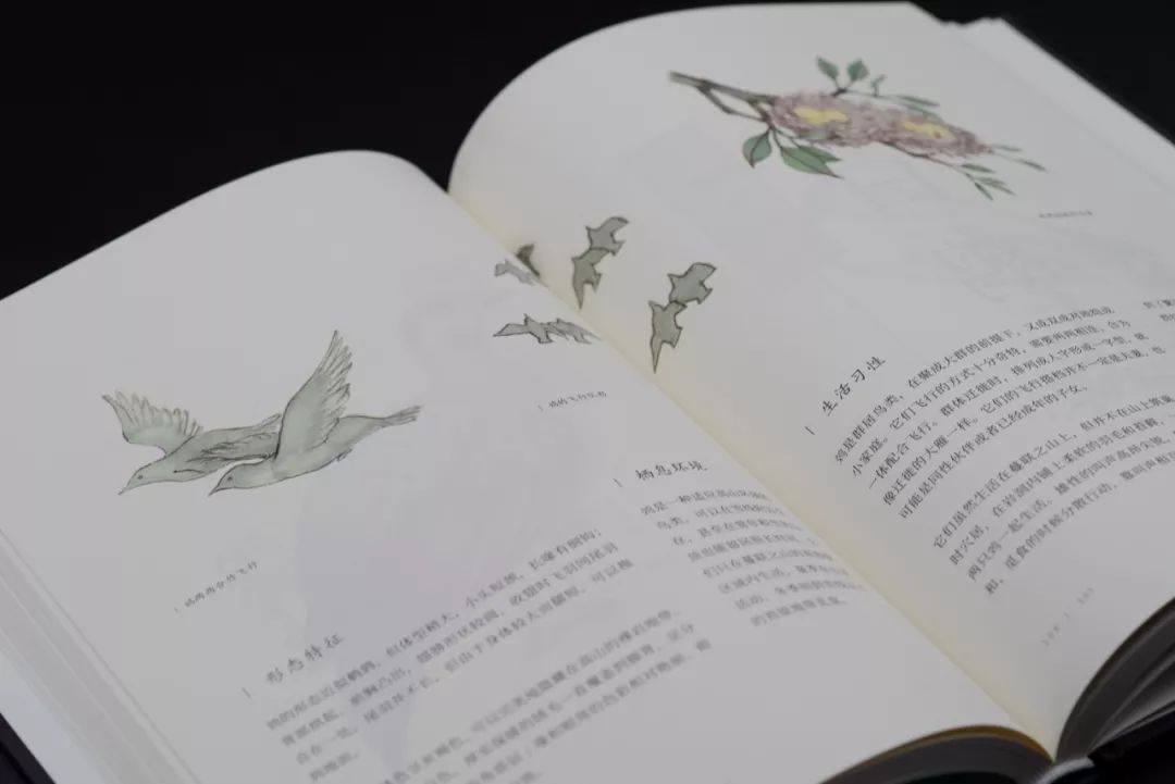 科学爸爸推荐 | 《奇兽:山海经动物图鉴》山海经里的动物到底长啥样?_孩子