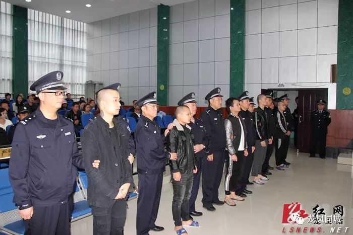 龙山法院集中宣判三起恶势力犯罪案件16被告获刑
