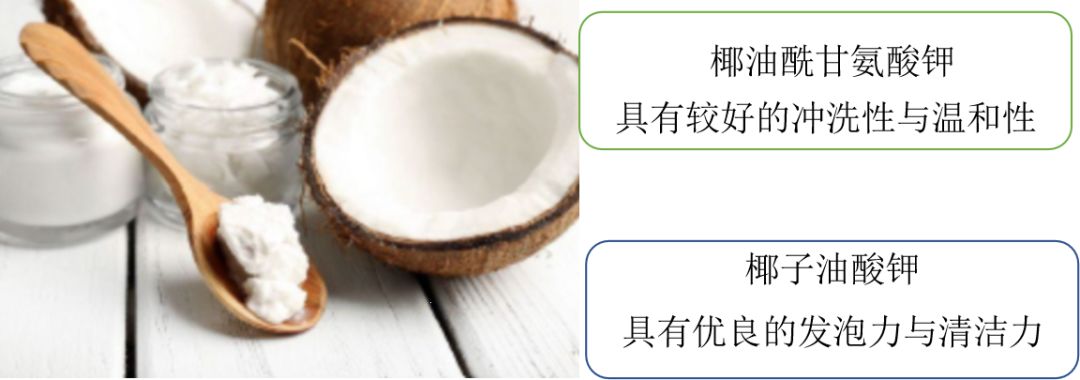 因为椰油酰甘氨酸钾具有较好的冲洗性和温和性,椰子油酸钾具有优良的