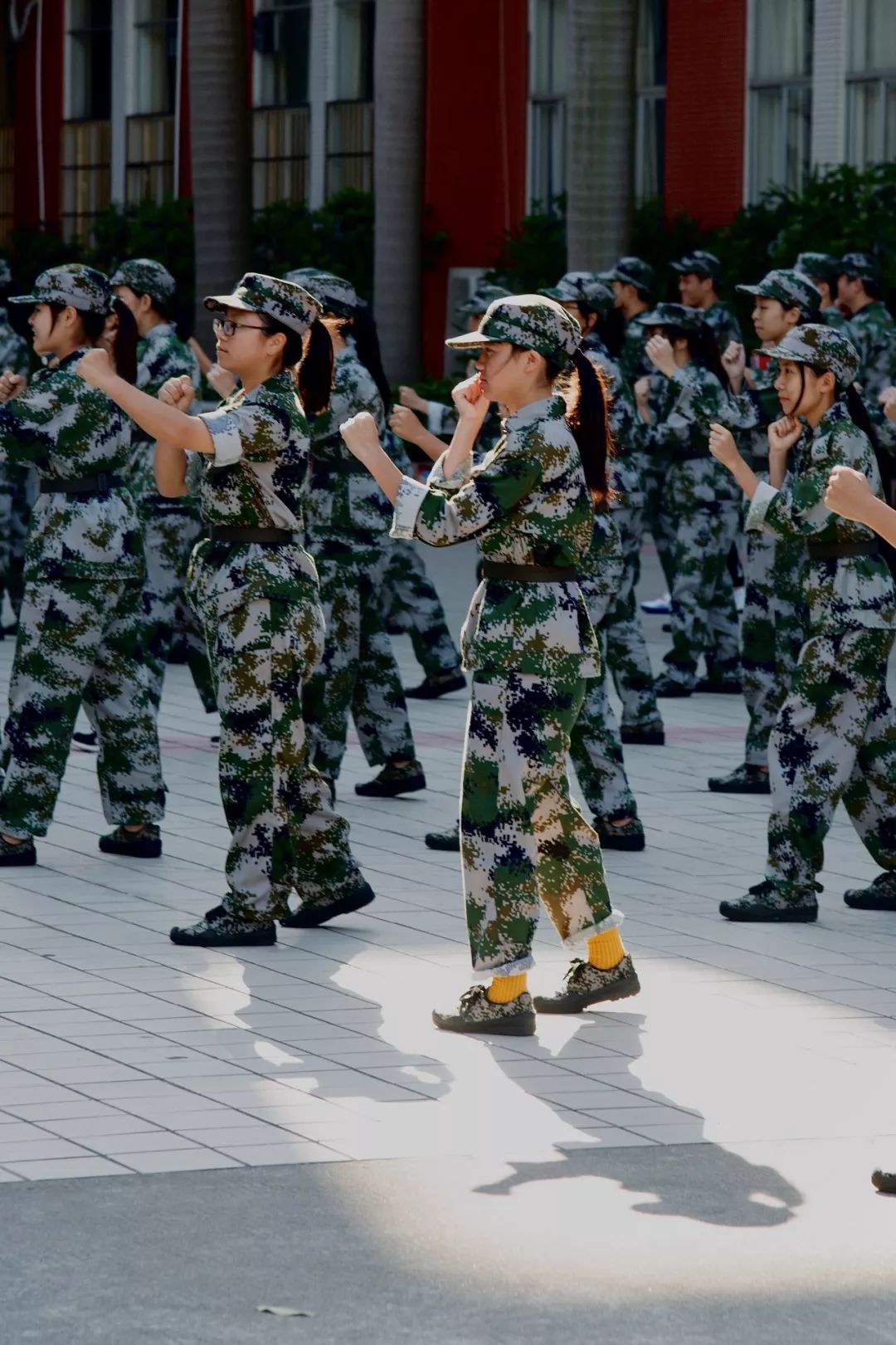 《影》树上的画开得格外灿烂,在逆光的环境下尝试拍摄,又有别样的