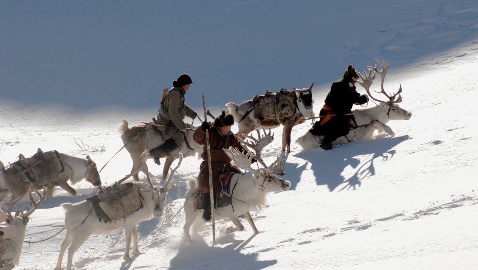 鄂温克族:聆听森林深处的音乐 | 共唱祖国好_驯鹿