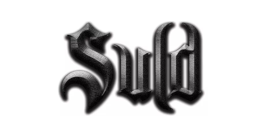 走到suld空间///the memory of nomadism大家好:我们是战旗,很高兴