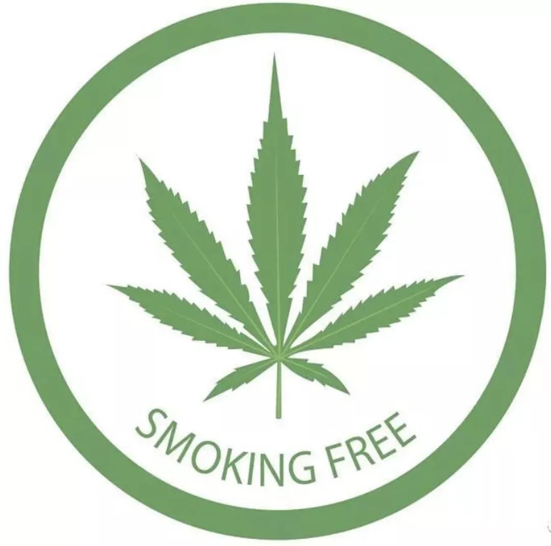 01狗爷的名言"smoke weed everyday"将首先在堪培拉实现了!