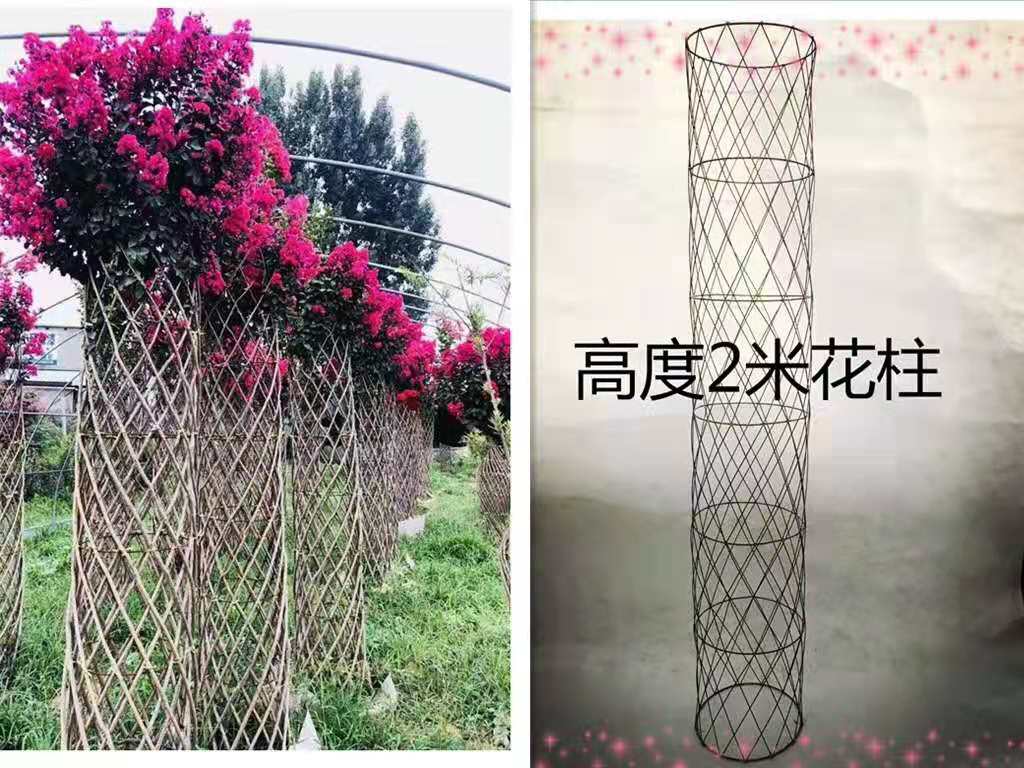 植物编织造型的产品和骨架对比