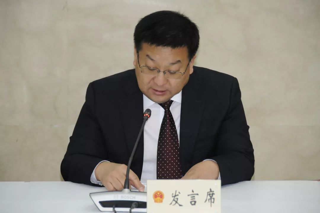 会议经投票决定任命袁文峰和田峥嵘同志为区人民政府副区长.