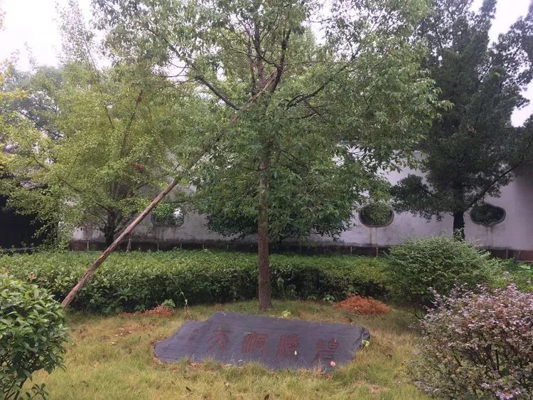 中国台湾著名国学教授郭永进一行来弋阳啦!对叠山书院大为赞扬!