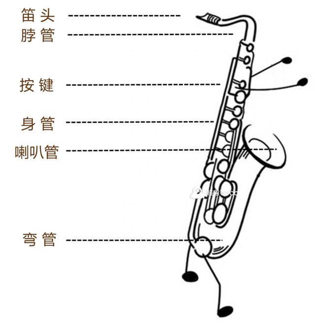 萨克斯的构造图片