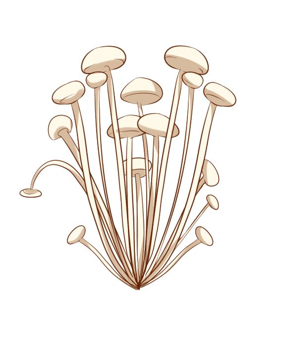 金针菇的画法图片