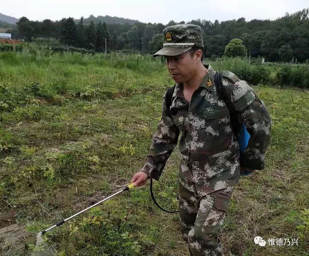 脱贫攻坚郑伟华脱贫路上不落下一个人