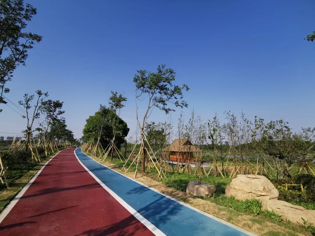 赏秋游玩去哪里一起去东苕溪打卡吧