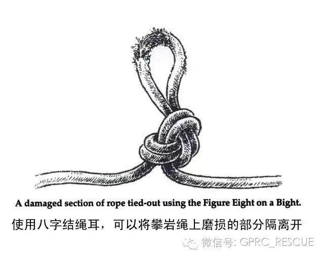 一日一结双重八字结doublefiguereightknot八字结绳耳