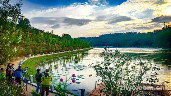 南林微理论榜样的力量林业英雄孙建博