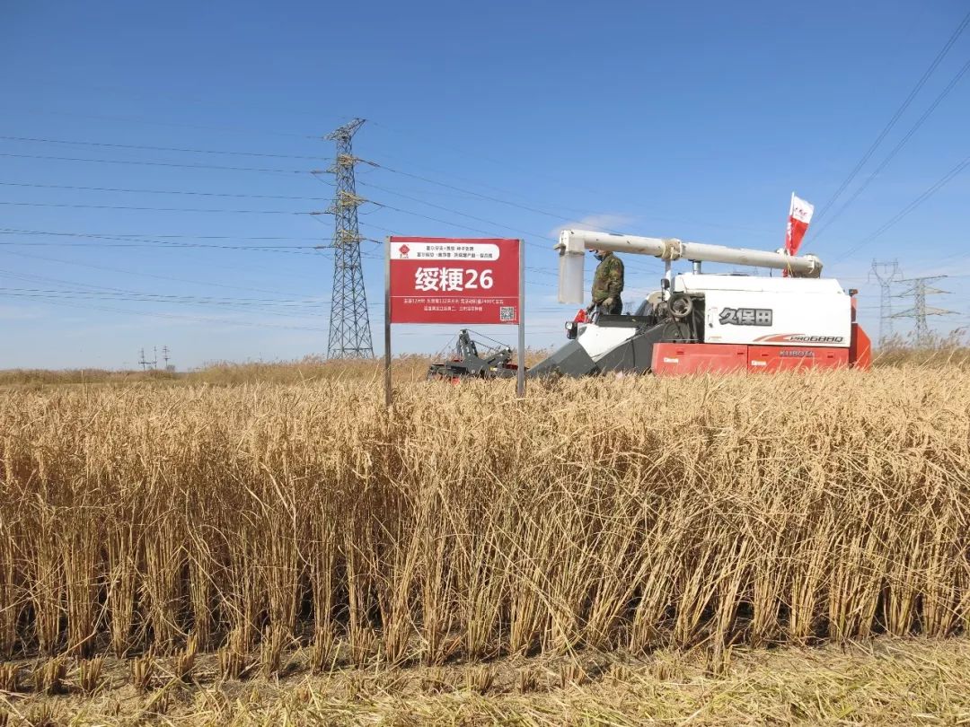 祝贺富尔绥粳26被评为最美长粒水稻品种之一!