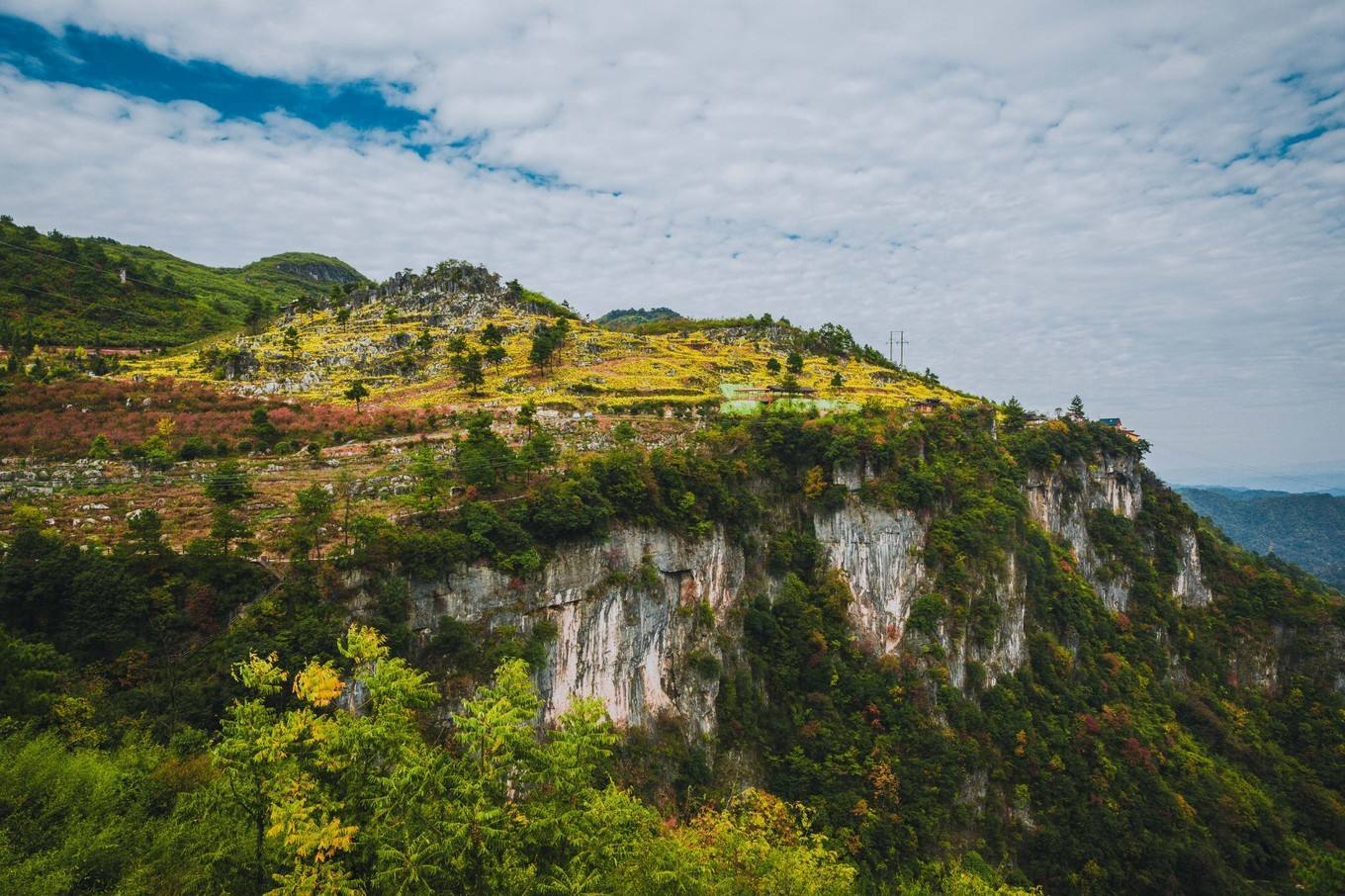 13:00-14:00达到后游览黄岩【怀化大峡谷景区】,这里有古树参天的原始