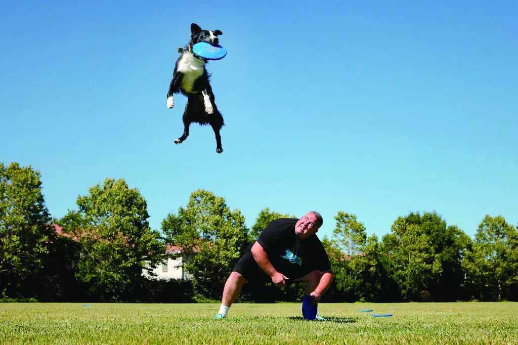 为了能拥有一只训练有素的狗子你都用了什么方法