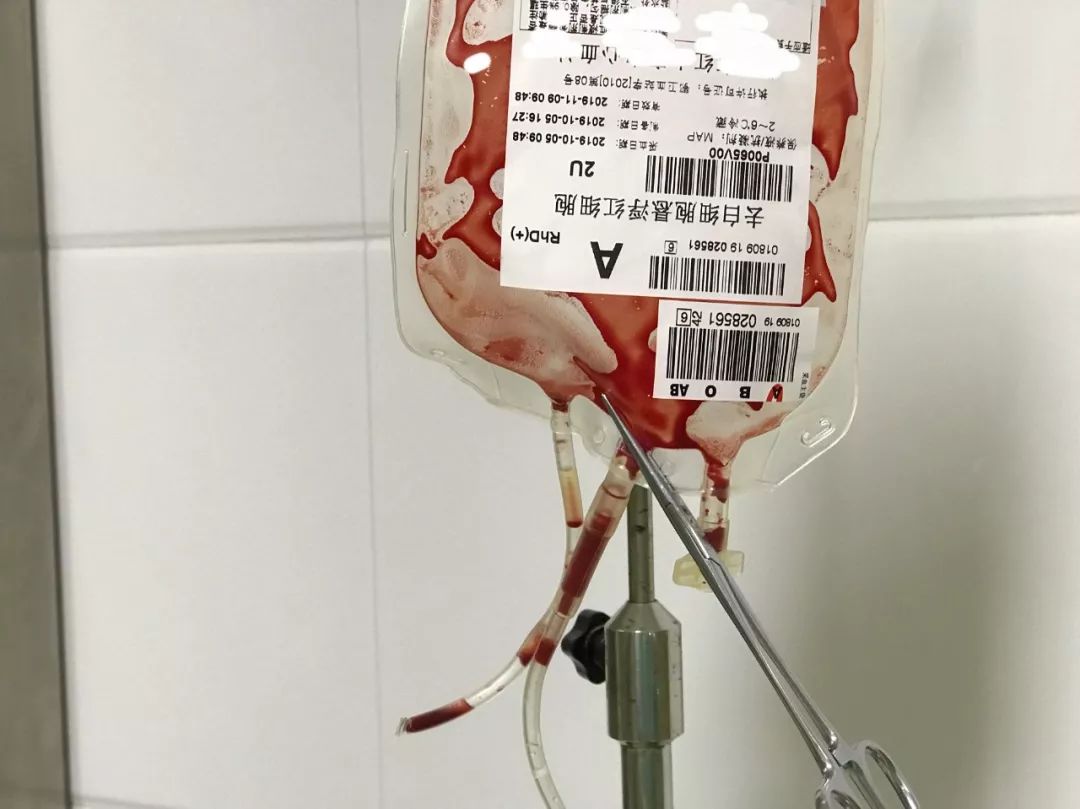 输血袋真实图片图片