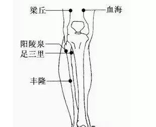 足三里阳陵泉简易找法图片