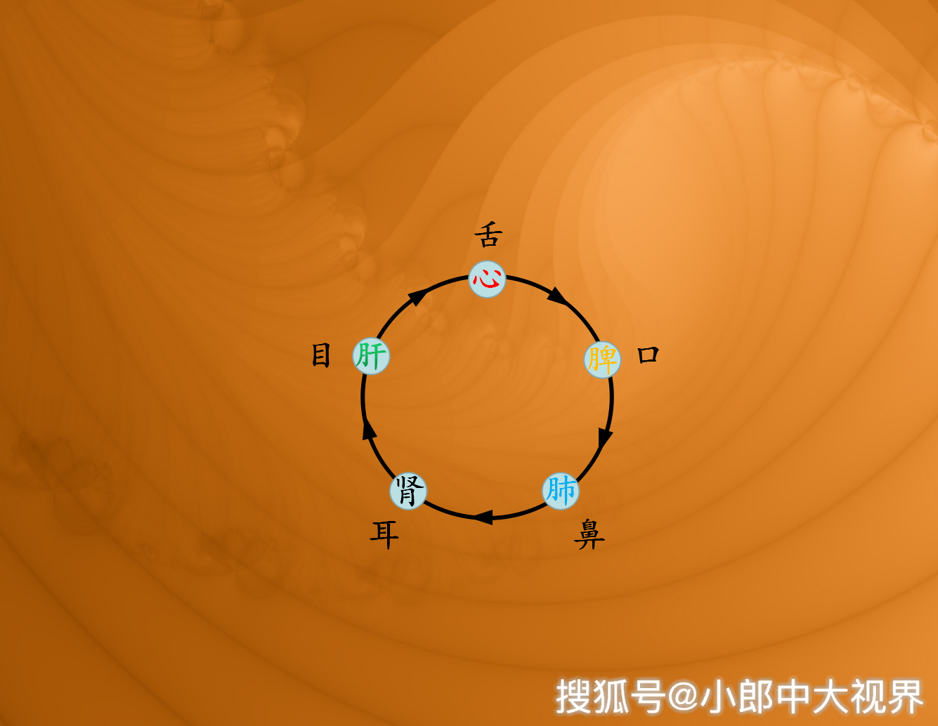 中醫奇書四聖心源解讀五官與五臟的從屬關係