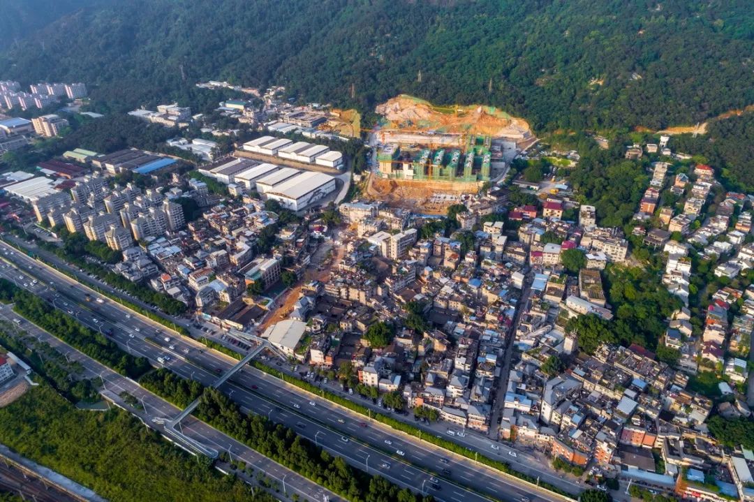 《鸟瞰绿色樟林村》《寻迹樟林》《鸟瞰樟林古厝》《手作匠心》《樟林