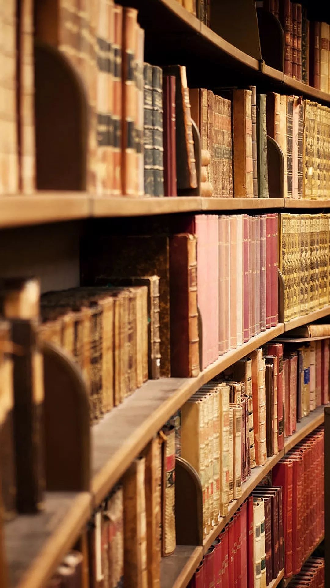 阅读书籍作舟遨游学海