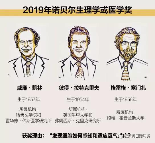 将2019年诺贝尔生理学或医学奖授予美国科学家威廉·凯林,格雷格·塞