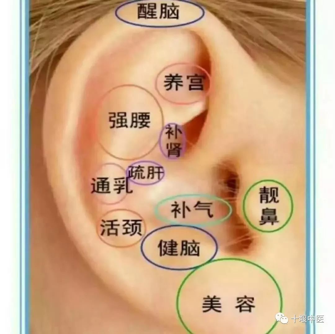 耳穴压豆法适用于治疗多种疾病,不仅用于治疗许多功能性疾病,而且对一
