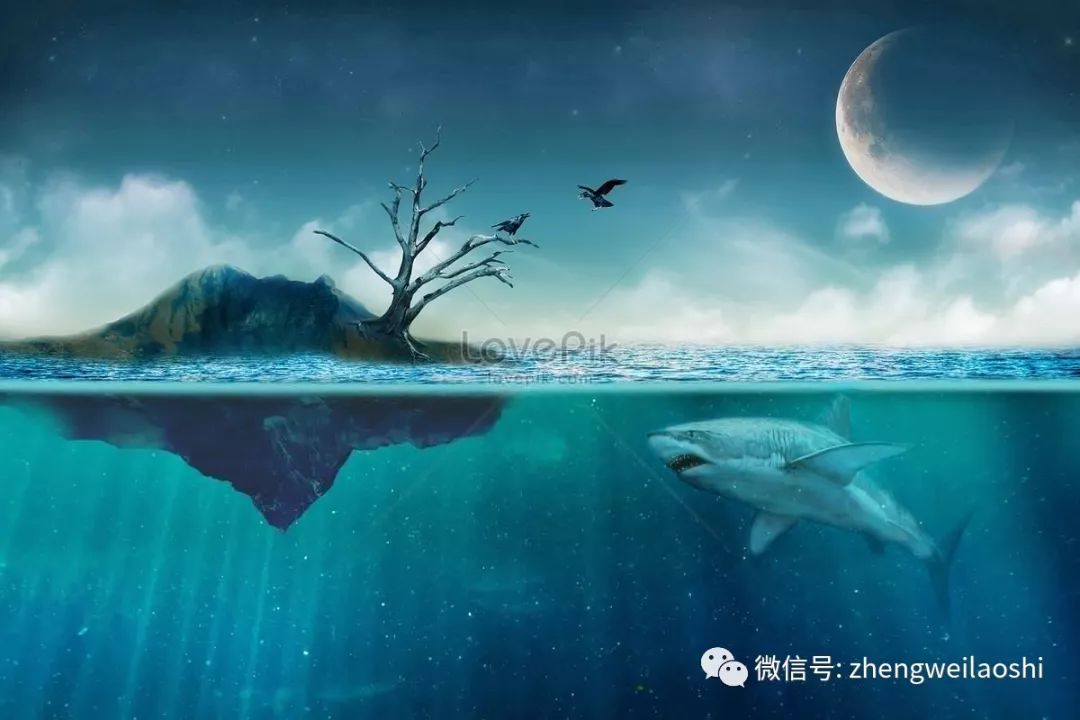 人到中年有多少人活成了一座孤岛二