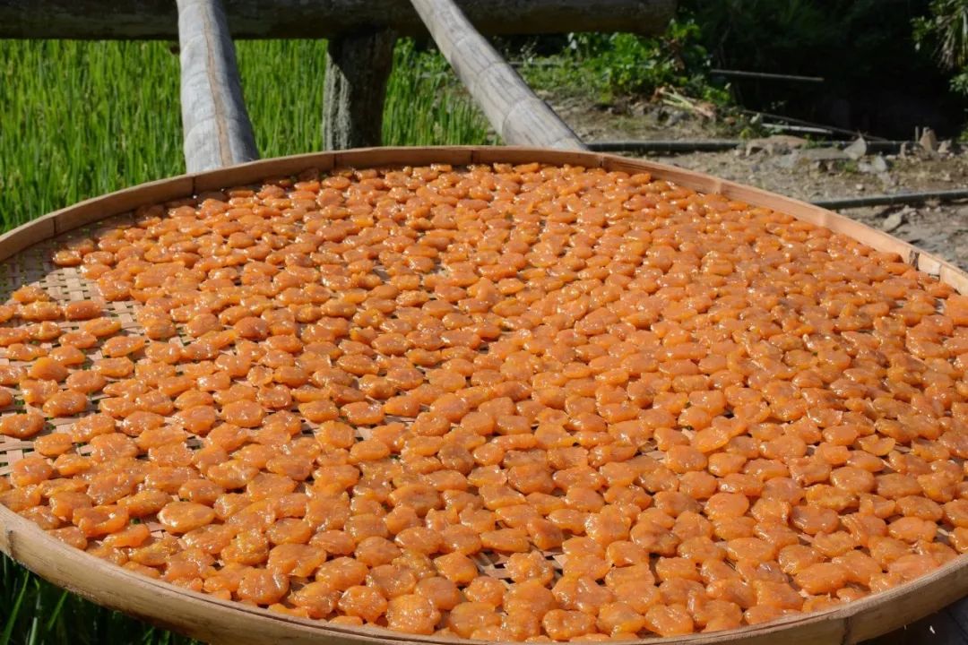 水果采摘节铁山美食节带你吃遍政和美食