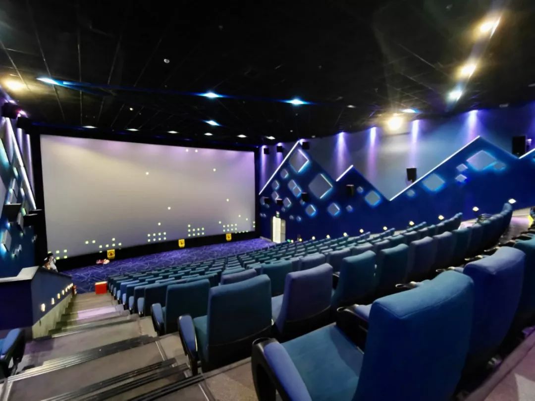 虹利|急寻观影伙伴,金逸影城4k/3d/120帧的影片《双子杀手》!