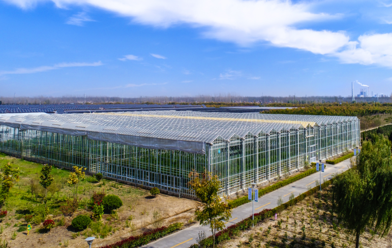 绿港的玻璃温室内你了解多少