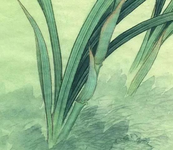 李晓明工笔画兰花视频教程:包含详细文字解析