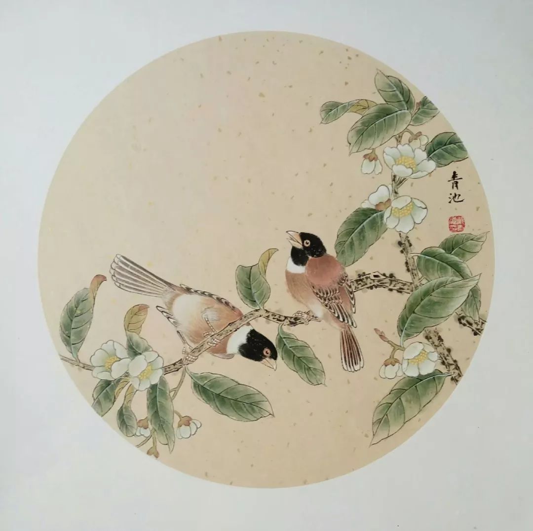 这50幅花鸟小品清新动人