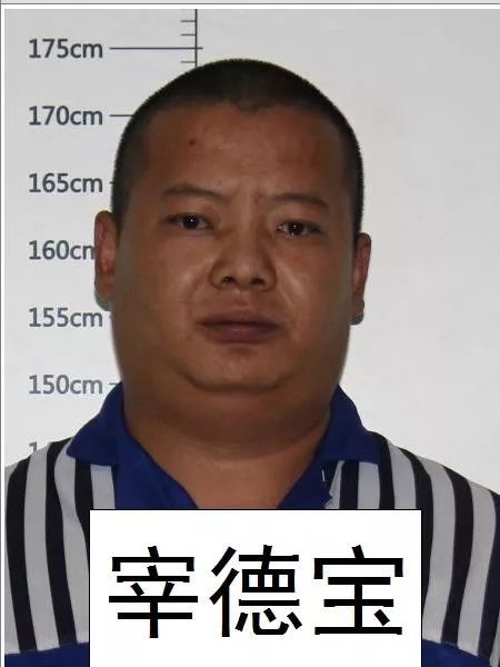 【悬赏】德州警方公开征集张凯等人违法犯罪线索