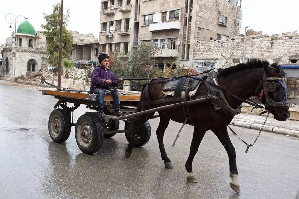 阿勒颇 一名老人不愿离开儿女的墓地大马士革街头李岳:我其实挺希望