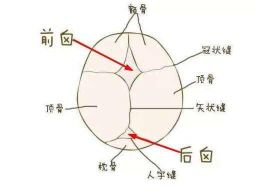 儿科医生囟门是宝宝健康晴雨表4项误区6种异常要牢记