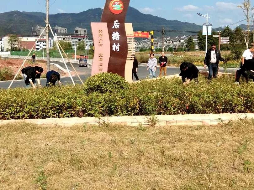 不忘初心牢记使命更楼街道五比五创五提升主题教育系列活动之七千名