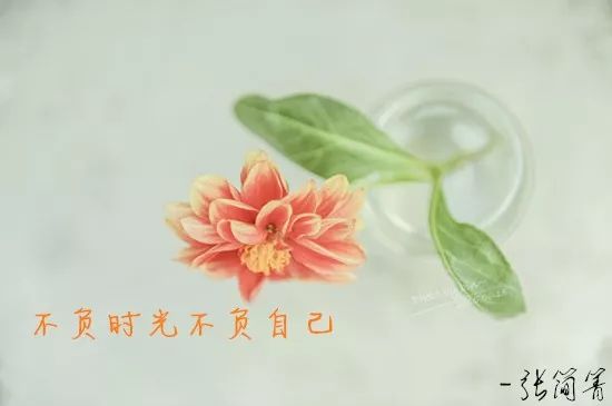 不负时光