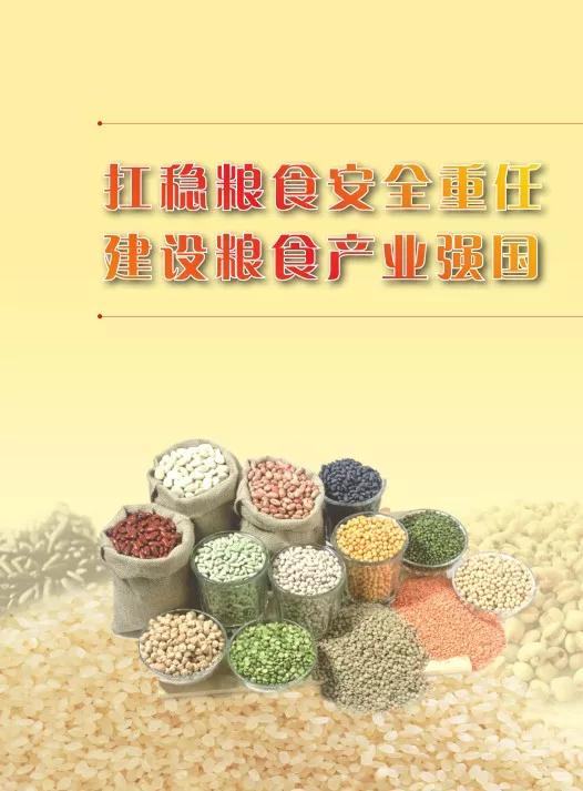 扛稳粮食安全重任建设粮食产业强国沙区开展2019年世界粮食日宣传活动