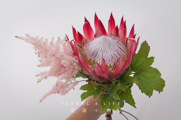 【复古色的帝王花束】