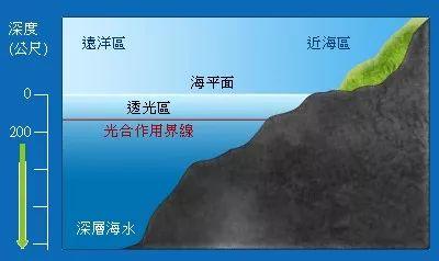 海洋深层水到底有多神奇全球追捧可别怪我没有告诉你哦