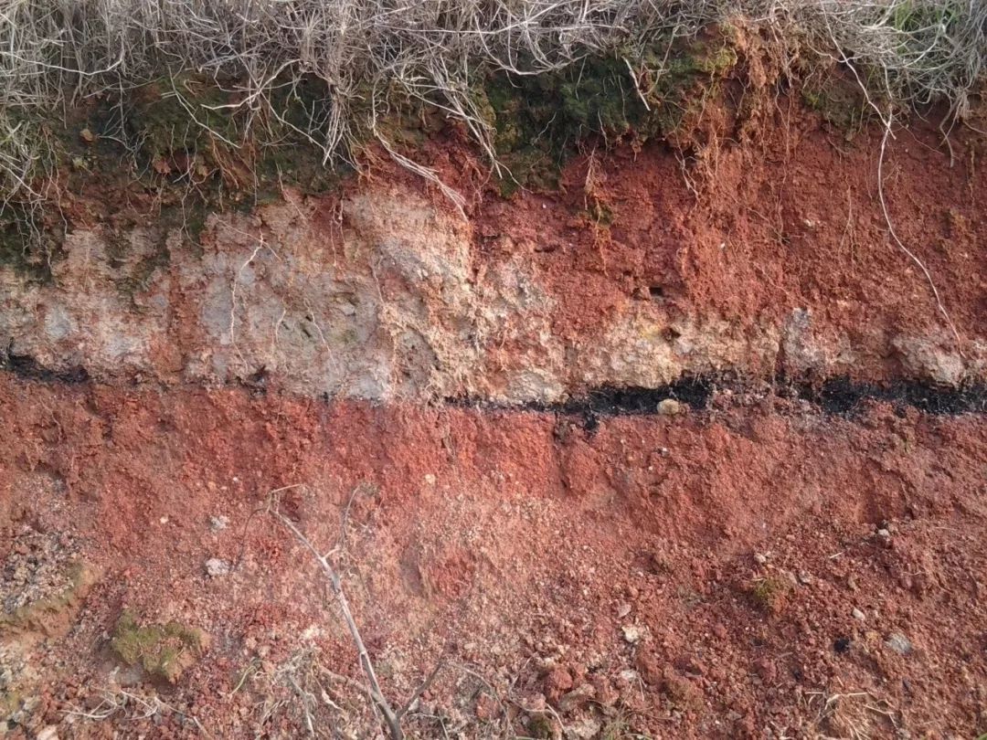 摄▲国字山墓群m2剖面图m2 位于m1南侧约150米,在筑卫城东北约160米