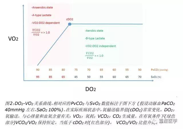 血气乳酸图片