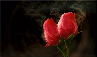 玫瑰与美酒的王国-保加利亚_凯琳娜