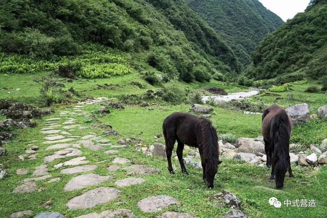 古道文化線路保護展望茶馬古道茶馬古道線路貴州興義烏沙古道第十二章