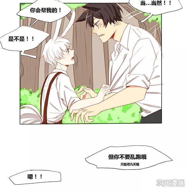 似兔非兔强攻弱受暖心狼人与软萌兔狐的恋爱