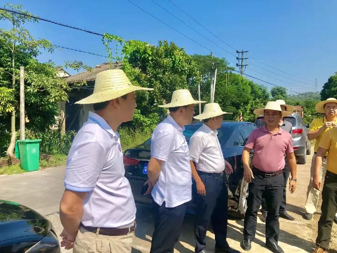 市领导带队到洪阳镇督导"三清理三拆除三整治"工作