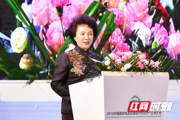 嘉宾观点丨王禾一带一路促进国际基础设施发展