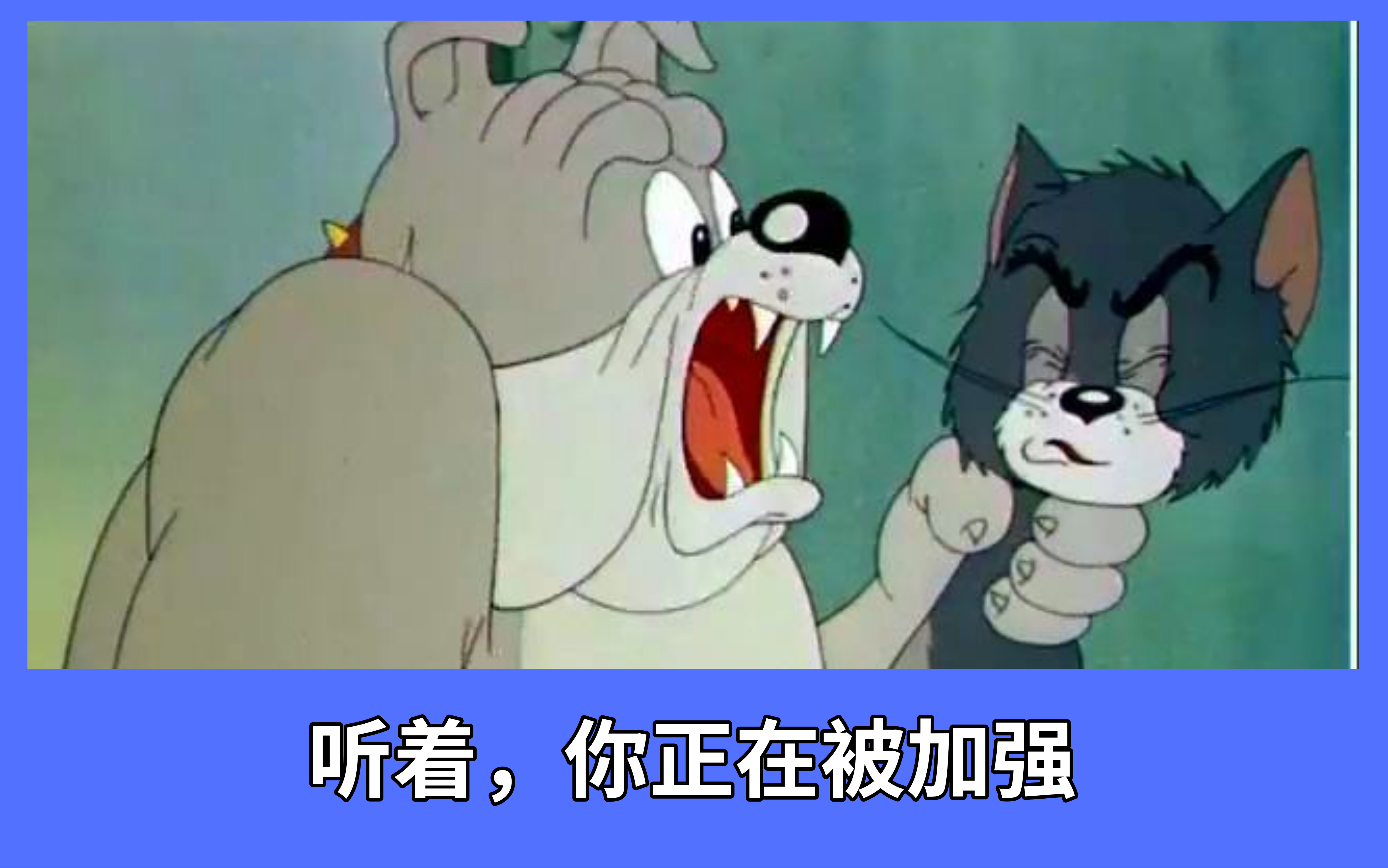 猫和老鼠:别买!官方上线四张知识卡,有两张都是用来充数的!